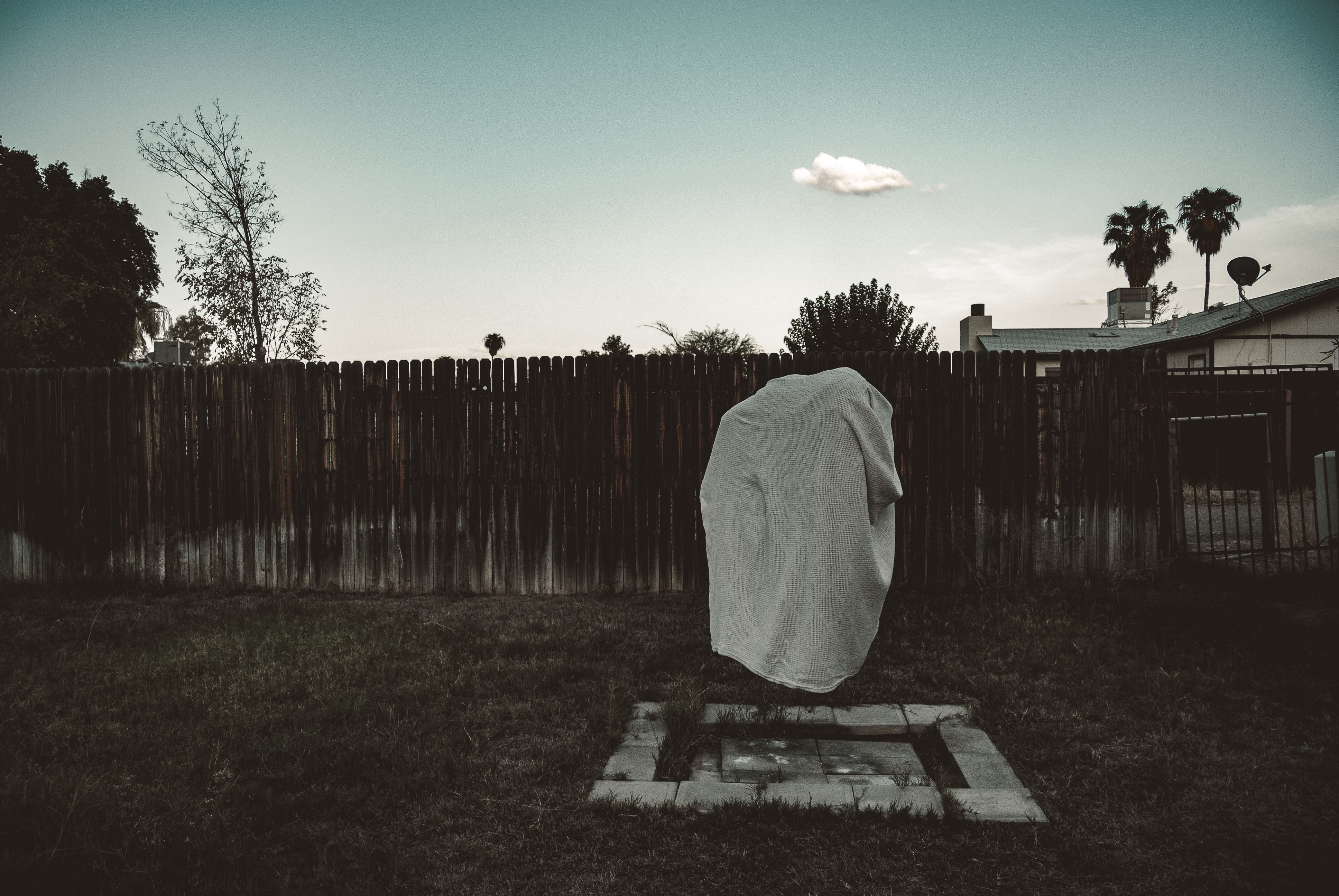 a photograph of a sheet in a yard floating in mid air in a third shape